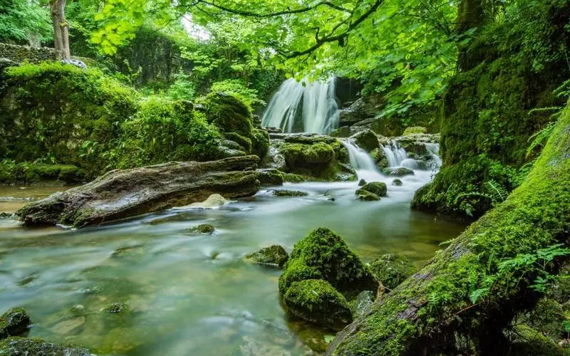 电子独特智慧